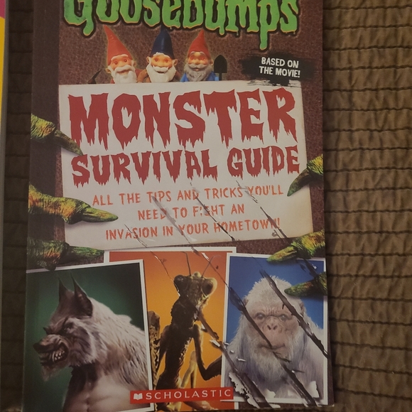 Young Adult Books - Picture 3 of 10